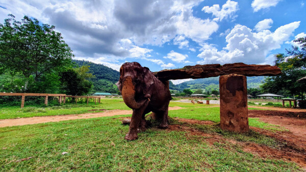 elephant sanctuary thai holiday